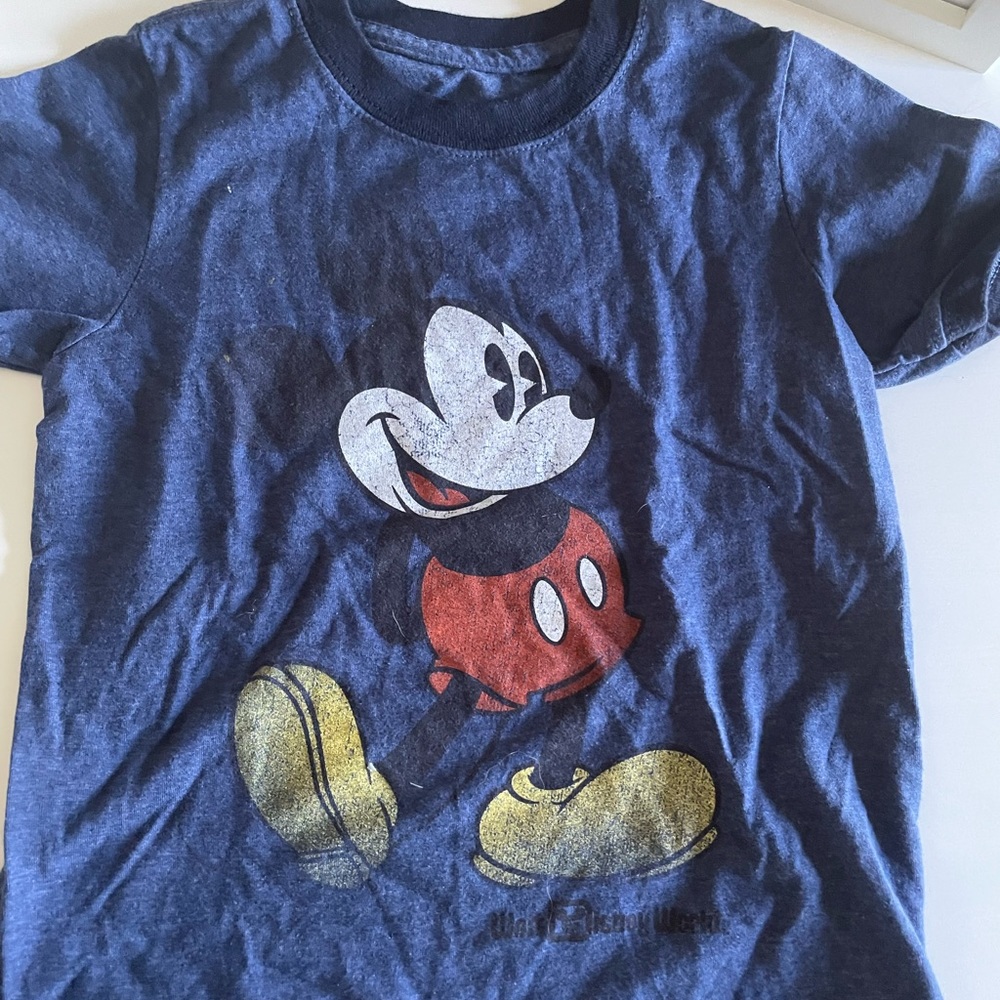 Walt Disney World Parks - Mickey 2T